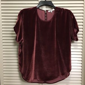 Madewell Velvet Rose Blouse